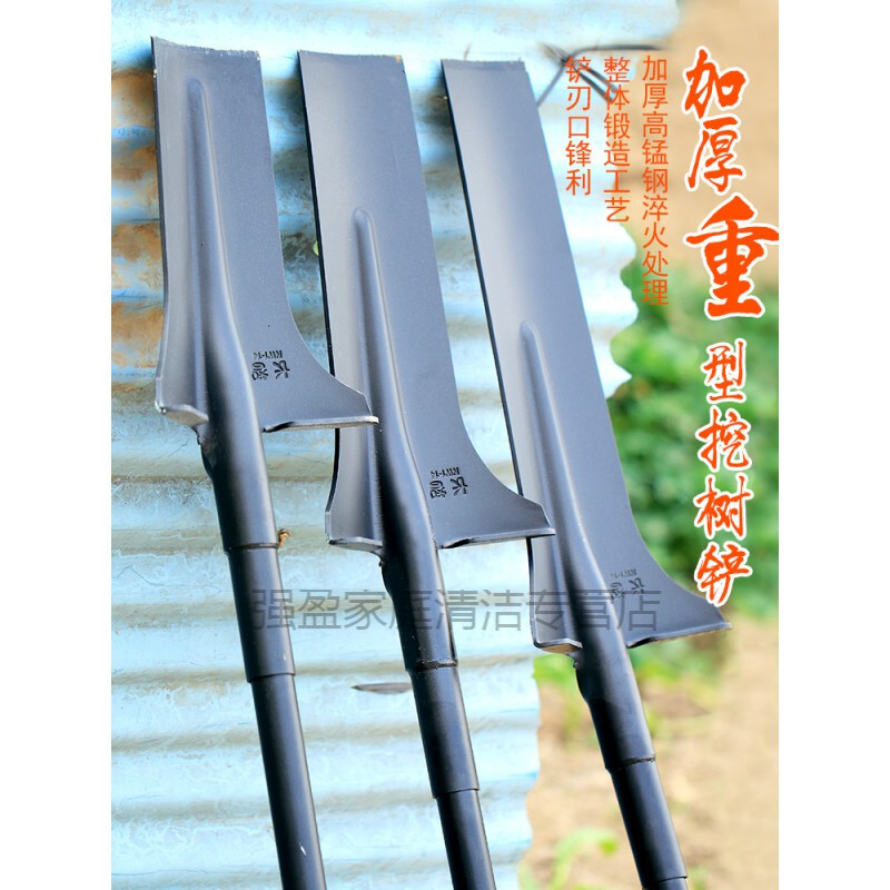 洛阳家政行业：服务升级与市场前景